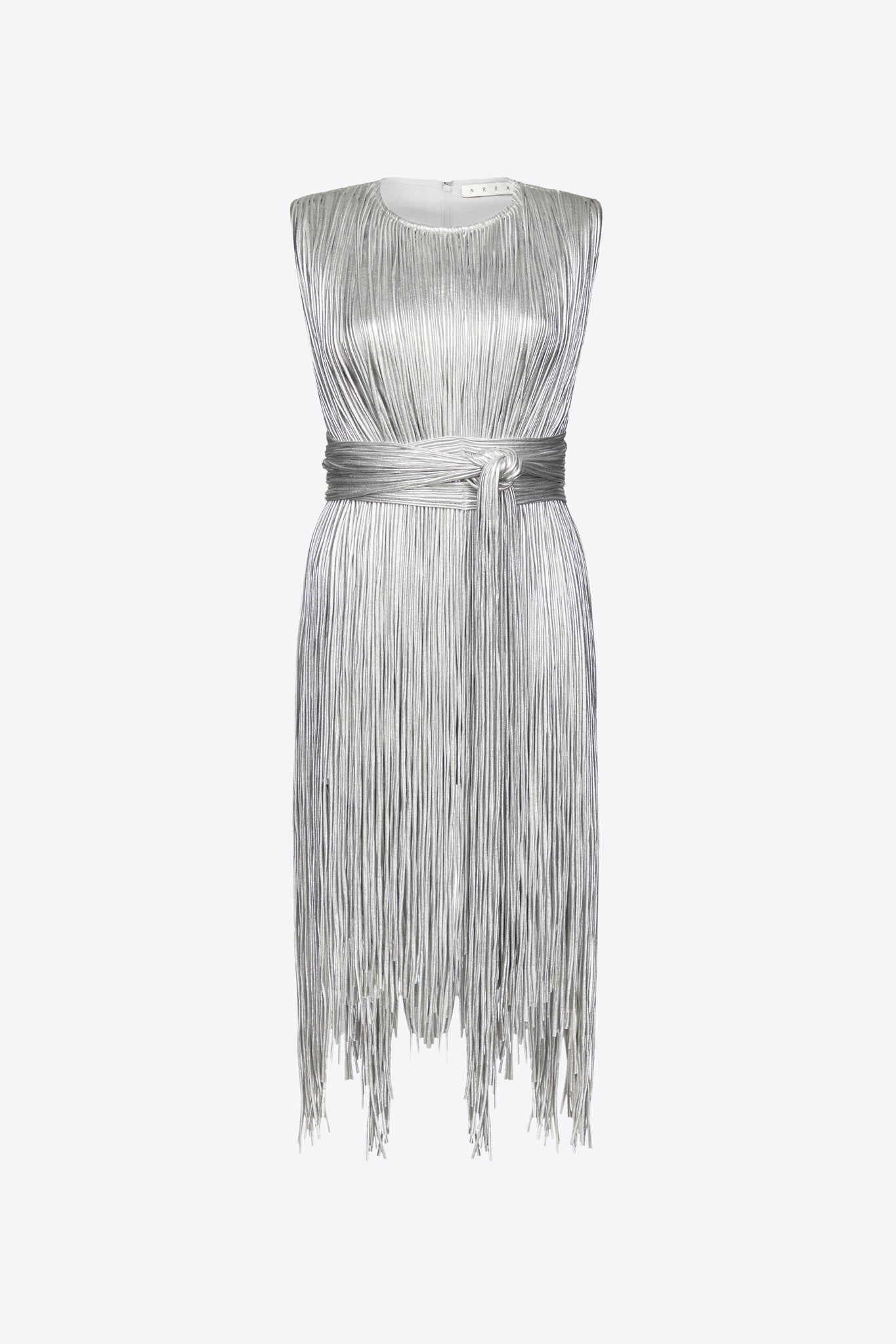 Metallic Fringe Mini Dress