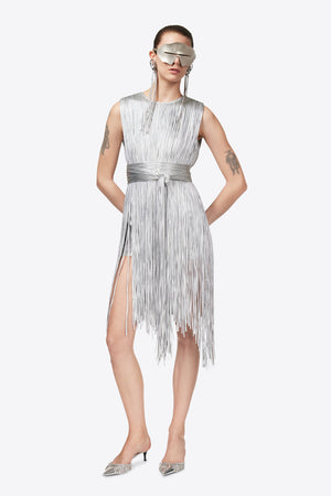 Metallic Fringe Mini Dress