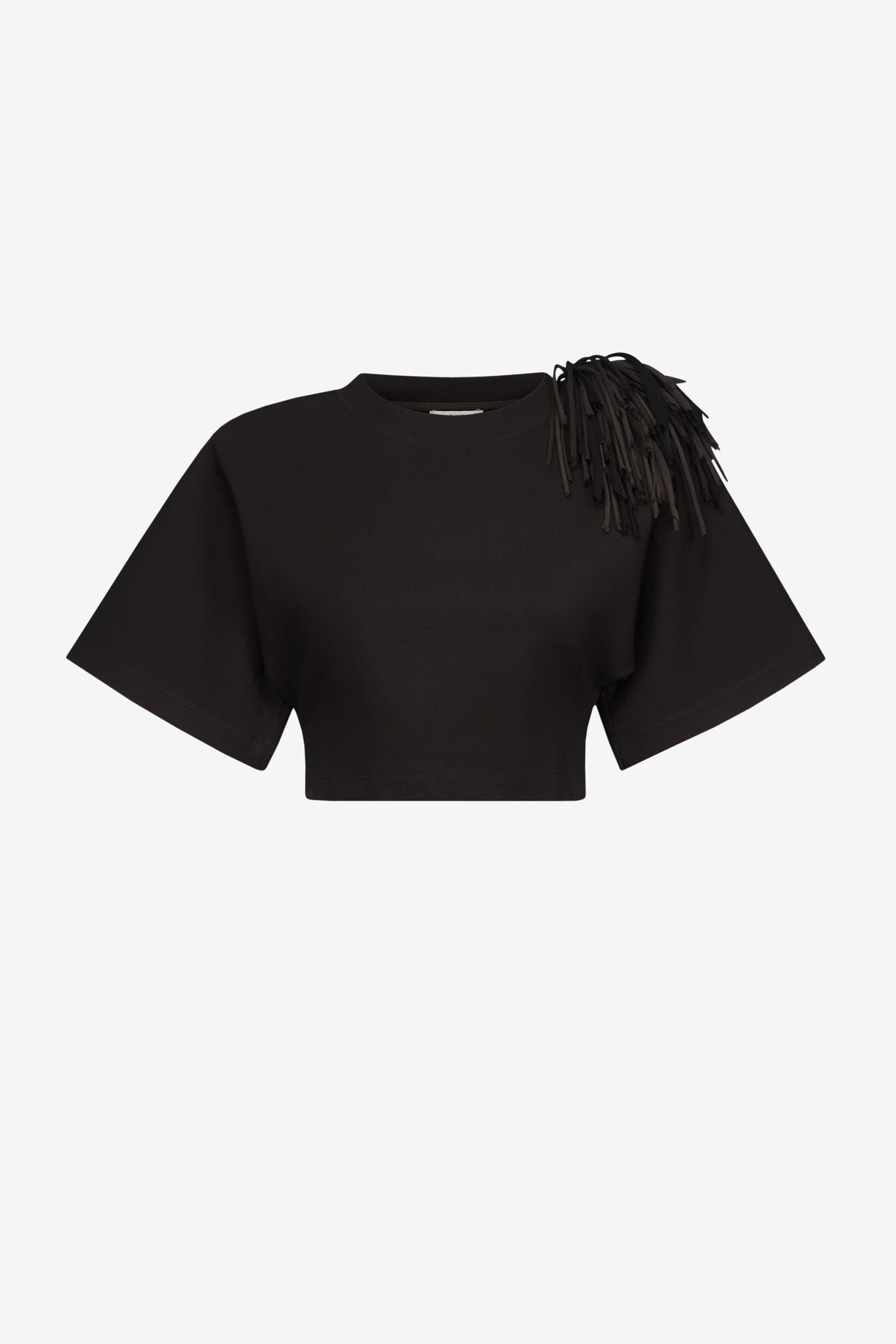 Fringe Brooch Cropped T-Shirt