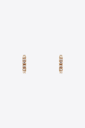 Small Crystal Hoop Earrings